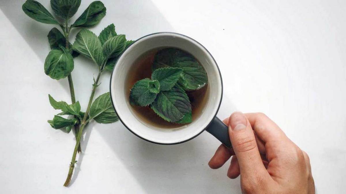Дієтологи назвали 12 фантастичних властивостей м'ятного чаю для організму