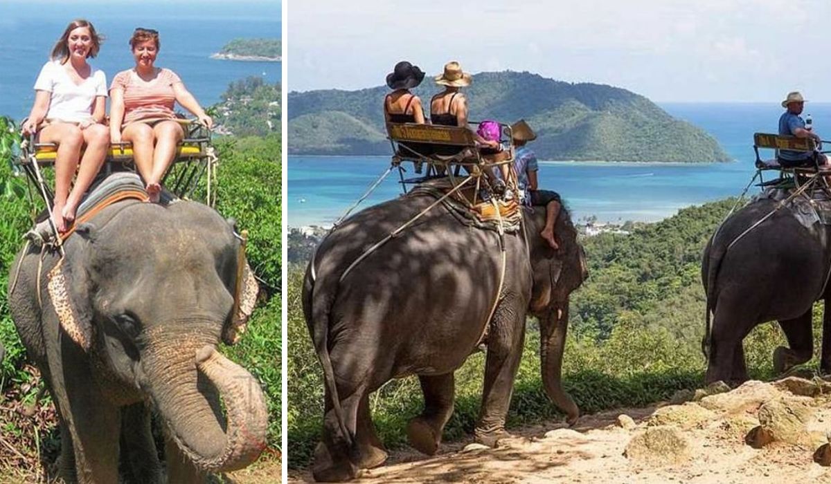 Туриста під час селфі вбив слон