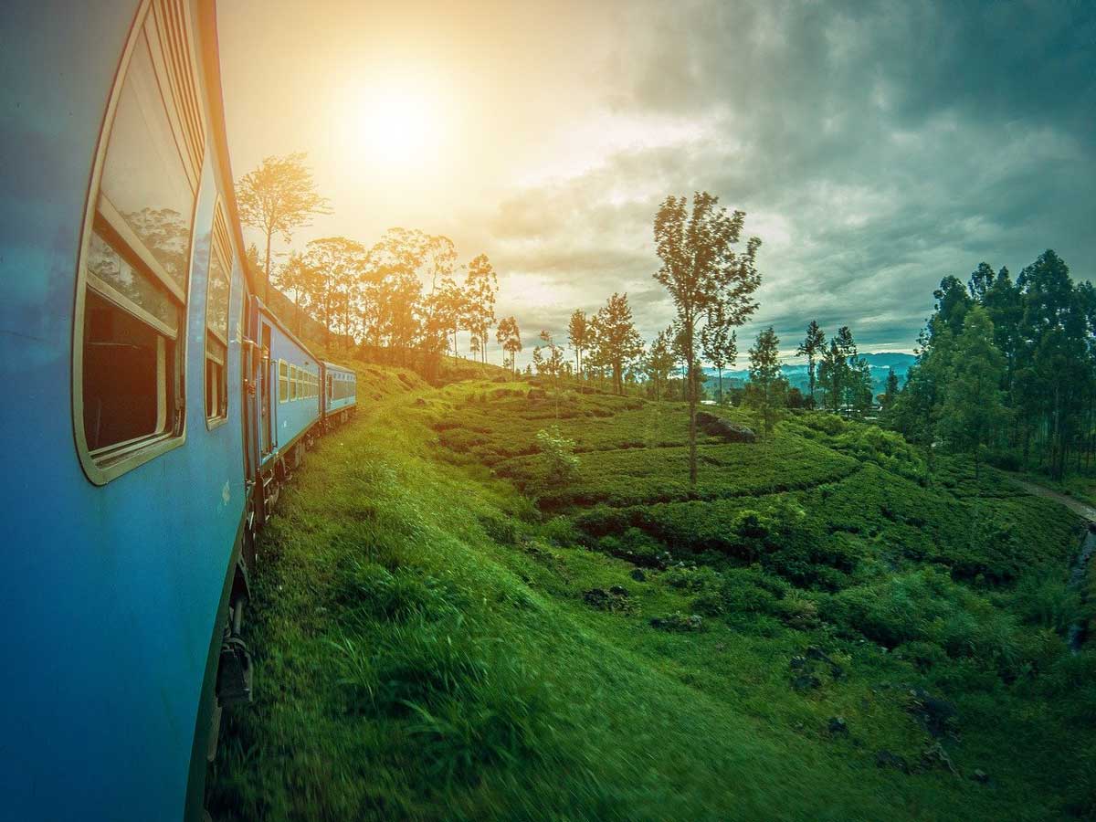Стали відомі нові правила в'їзду на Шрі-Ланку для туристів з України