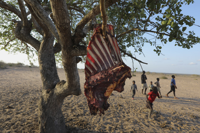 Somalia, Kenya and Ethiopia on the brink of survival - drought, loss of livestock and famine