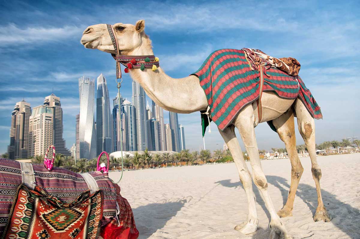 Коли краще їхати відпочивати до ОАЕ: пляжний сезон у Дубай та інших еміратах