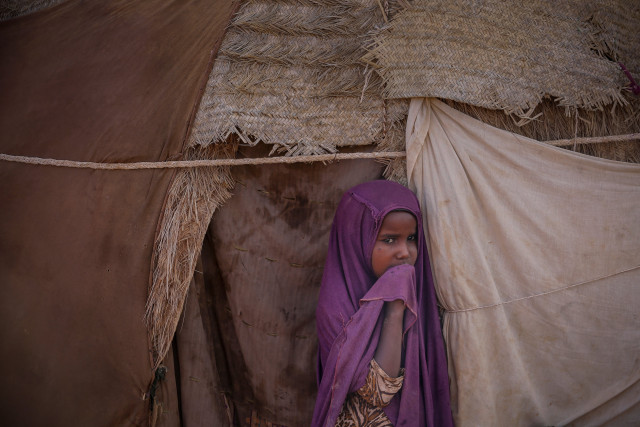 Somalia, Kenya and Ethiopia on the brink of survival - drought, loss of livestock and famine