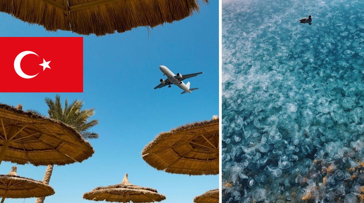 У Туреччині туристів попередили про нову небезпеку у Середземному морі