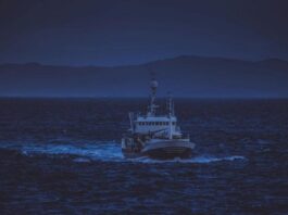 Після виявлення російської міни у Чорному морі: Туреччина забороняє нічну риболовлю