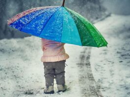 Сильний снігопад та хуртовини на сході Туреччини (ФОТО)