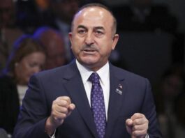 Чавушоглу: У переговорах між Україною та Росією досягнуто значного прогресу