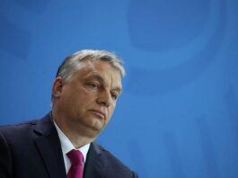 Угорщина відхилила вимоги Зеленського щодо постачання зброї та санкцій до РФ