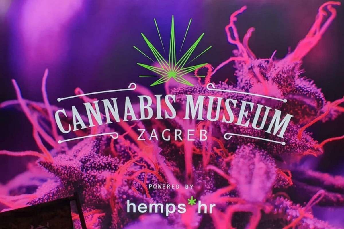 A cannabis museum has opened in front of the Zagreb police