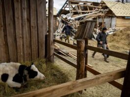 ЄС: Росія ризикує стати причиною нової ядерної катастрофи в Європі, подібної до Чорнобильської