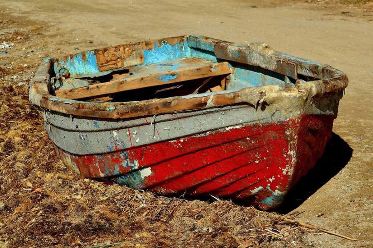 Іспанські сімейні пляжі виявилися завалені тоннами водоростей