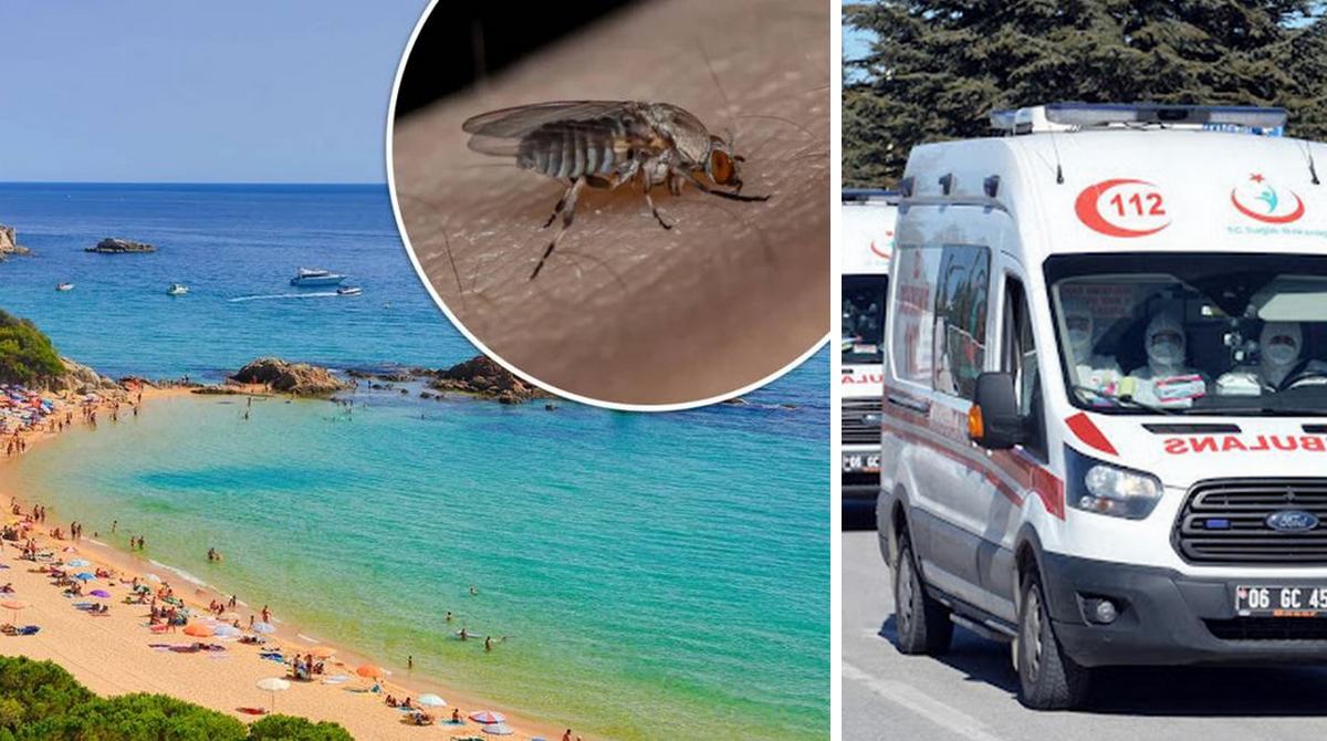 Курорти Середземномор'я атаковані чорними мухами: туристи масово потрапляють до лікарень
