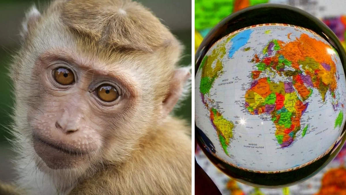 Що відомо на сьогодні про спалах «мавпячої віспи» і як він може впливати на туризм