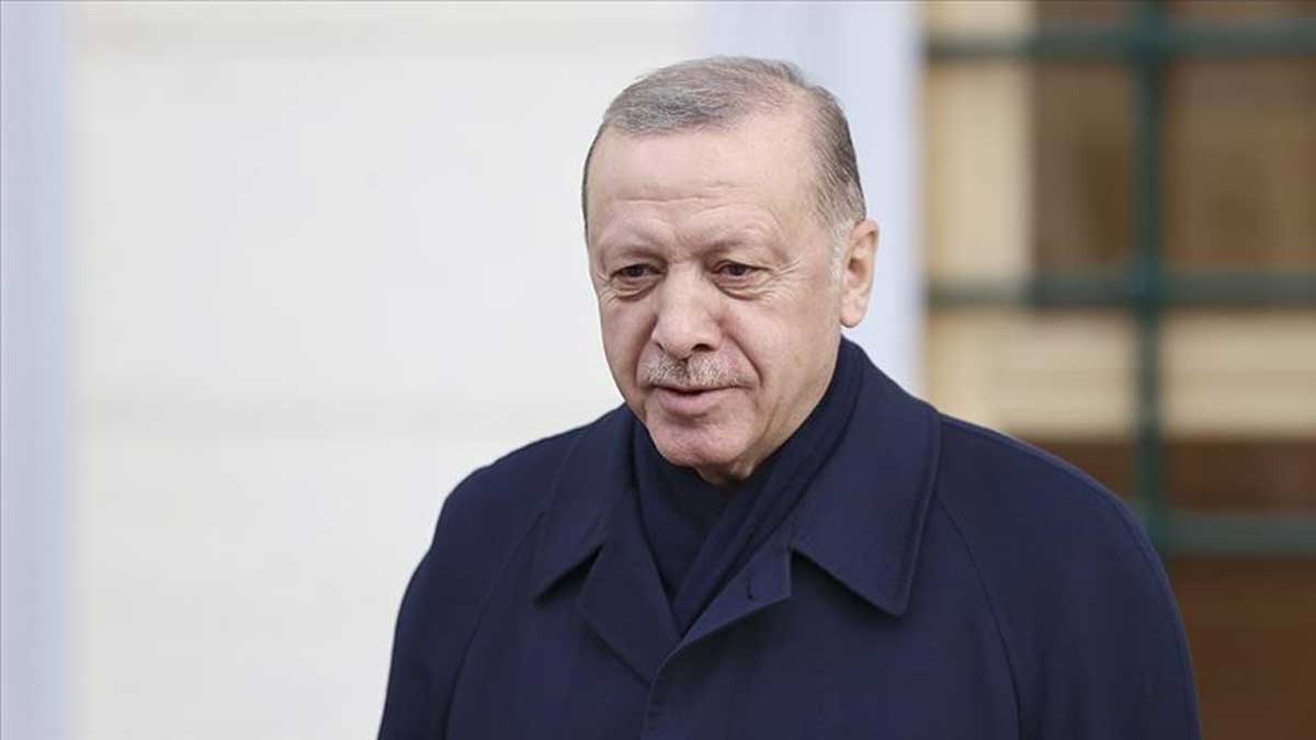 Ердоган: Туреччина стане відправною точкою для вирішення Сходу України