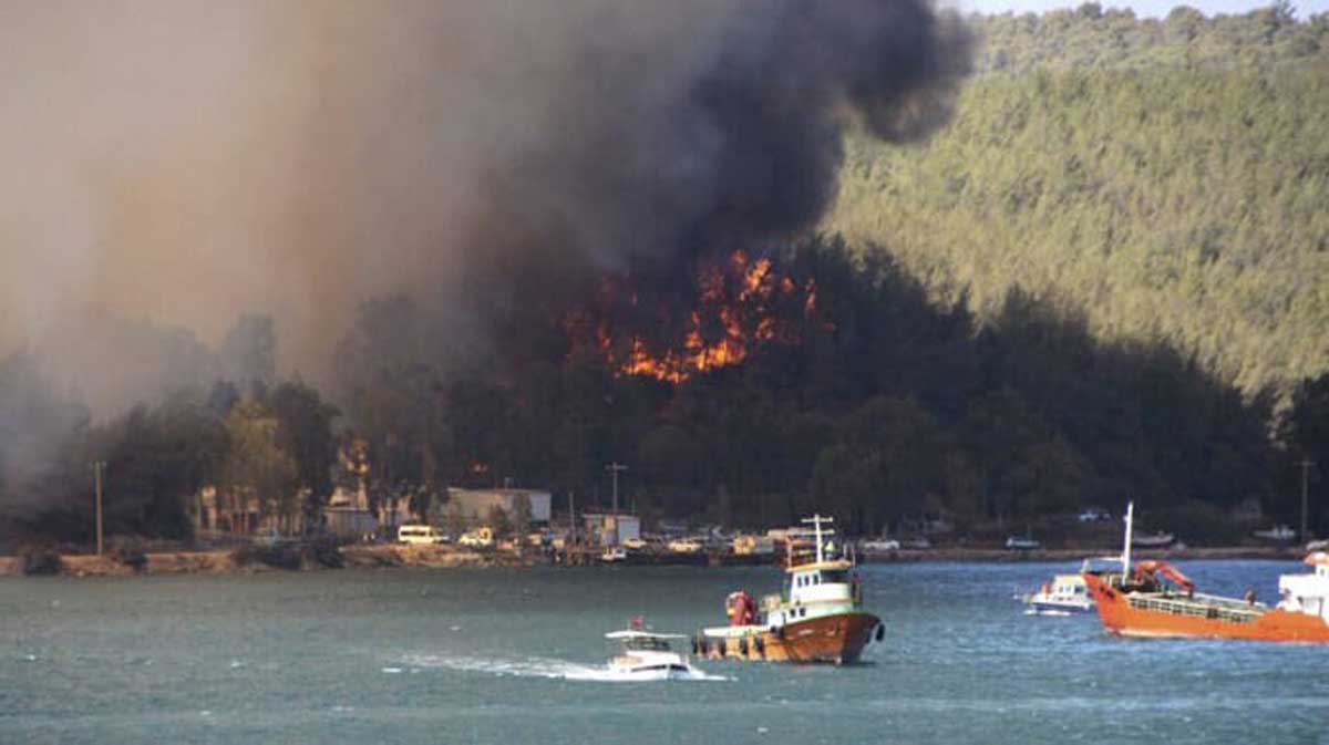 У Туреччині знову почали спалахувати лісові пожежі