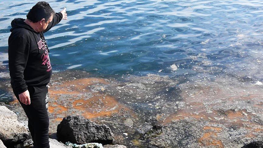 Turkey's tourism in danger: in Antalya, tourists began to leave the sea, covered with oil