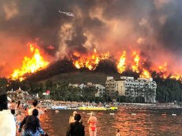 Через пожежу неподалік Мармариса евакуйовано туристів