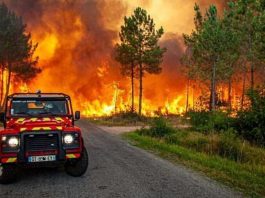 У Європі через лісові пожежі евакуйовано тисячі людей