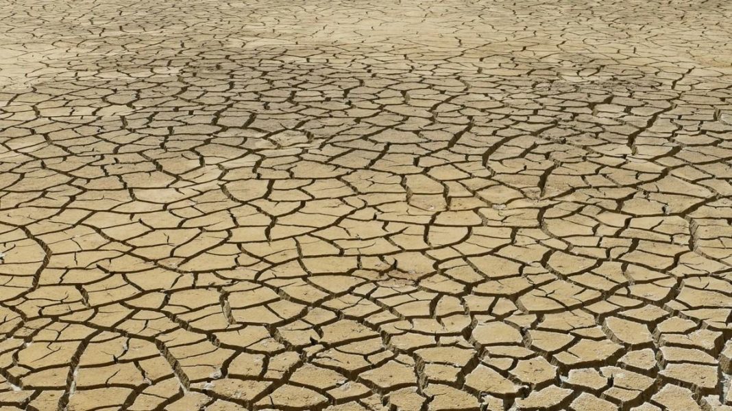 Італія планує оголосити надзвичайний стан у регіонах, що постраждали від посухи