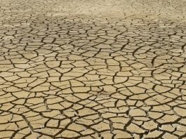 Італія планує оголосити надзвичайний стан у регіонах, що постраждали від посухи