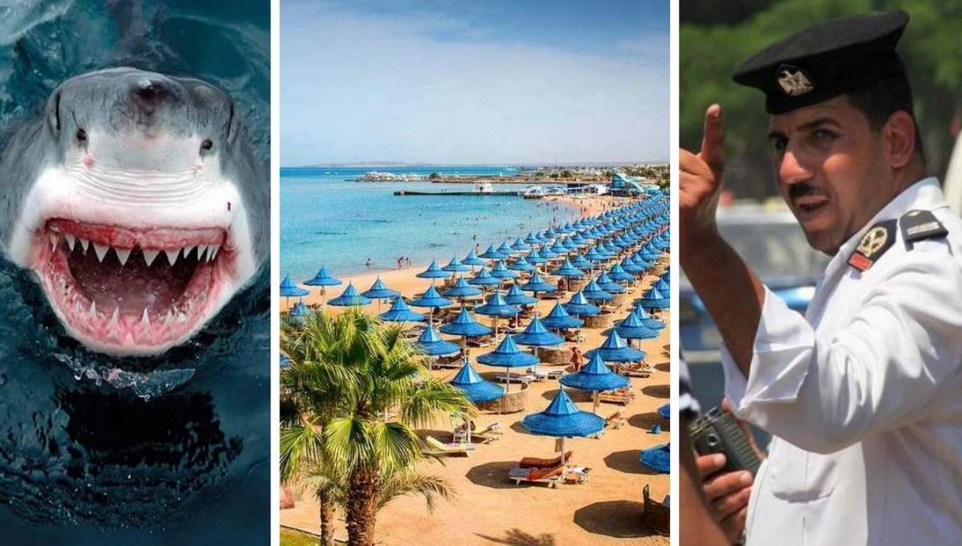 Атаки акул на туристів у Єгипті продовжуються: вбито другу жінку, в Хургаді екстрено вводяться жорсткі заходи