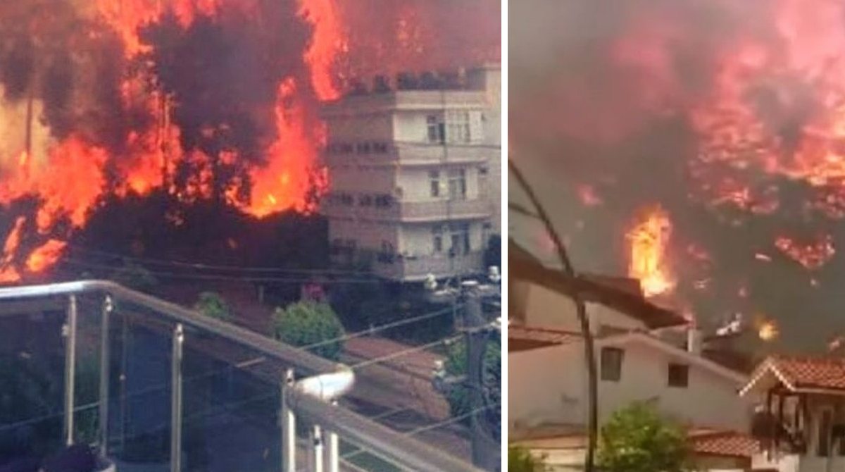 В Анталії спалахнула лісова пожежа та згорів готель