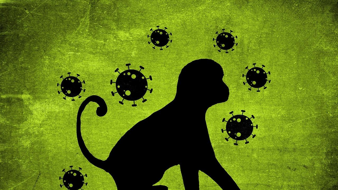 У Європі різко зросла кількість випадків мавпячої віспи