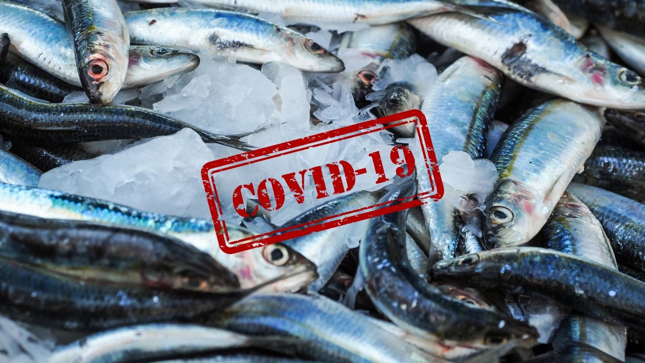Китай почав тестувати рибу на COVID