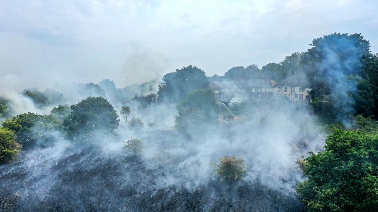 В Анталії вирує велика лісова пожежа