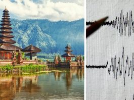 Землетрус вдарив по популярному курортному острові Балі: туристи в паніці, ряд готелів пошкоджено