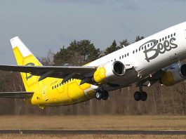 Новому українському лоукостеру Bees Airline анулювали ліцензію
