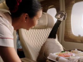 Авіакомпанію Emirates рекламуватиме гусак Джеррі