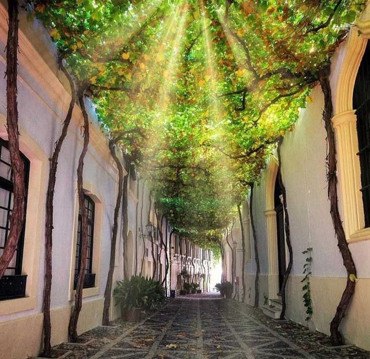 Two Spanish streets are included in the list of the most attractive in the world