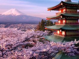 Що зміниться у в'їзді туристів до Японії з 11 жовтня