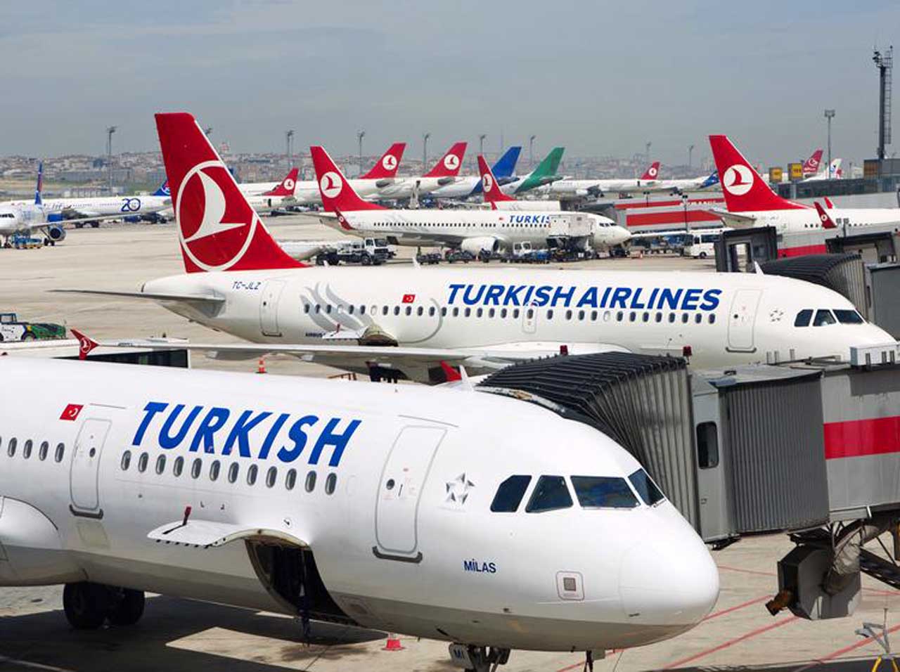Turkish Airlines стала найбільшою авіакомпанією у світі