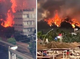 Пожежа знищила курортний готель у Туреччині, туристи рятувалися втечею
