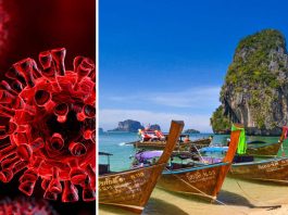 У Таїланді б'ють на сполох: виявлено 4 нові підвиди коронавірусу, які домінуватимуть у світі до Нового року