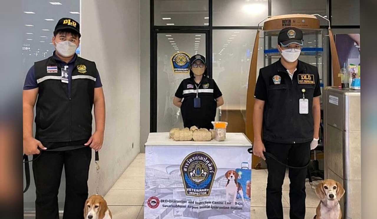 Ввезення сосисок до Таїланду визнали контрабандою