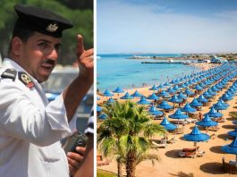 Шарм-ель-Шейх повністю звільнили від напасті, яка літала по всьому курорту, перетворившись на погану пам'ятку