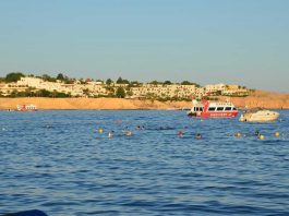 «Навіть море не компенсує всі мінуси»: гнівний відгук про відпочинок у Шарм-ель-Шейху