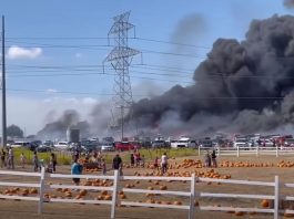 Через аварію в Техасі згоріли 73 автомобілі
