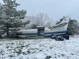 У США впав літак із 53 собаками на борту