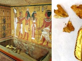 Мумія із золотою мовою: у Єгипті розкопали нову пам'ятку для туристів