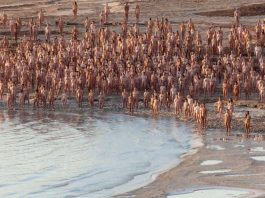 2500 австралійців взяли участь у масовій голій фотосесії на пляжі у Сіднеї