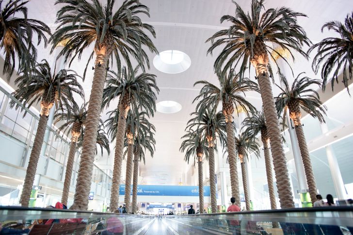 15 самых красивых аэропортов мира, в которых мы хотели бы остаться навсегда