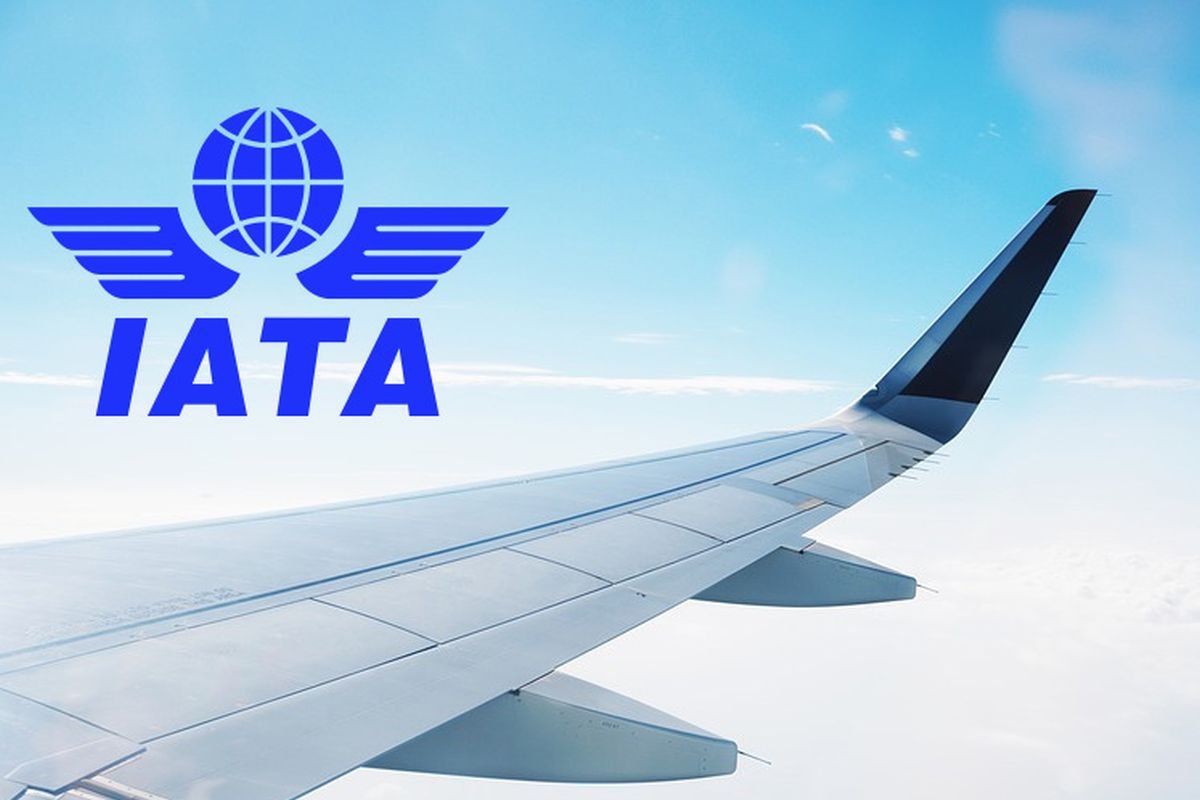 IATA: Туристи зможуть подорожувати без віз та паспортів