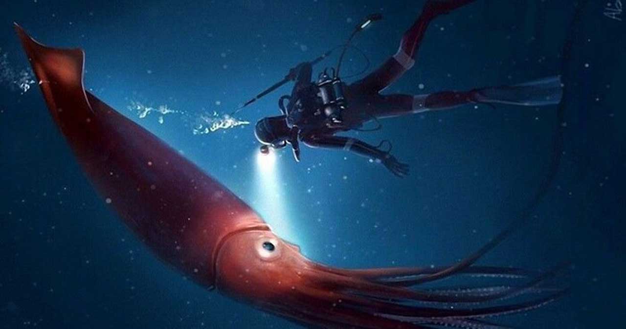 Біля берегів Японії виявили гігантського 2.4-метрового кальмара