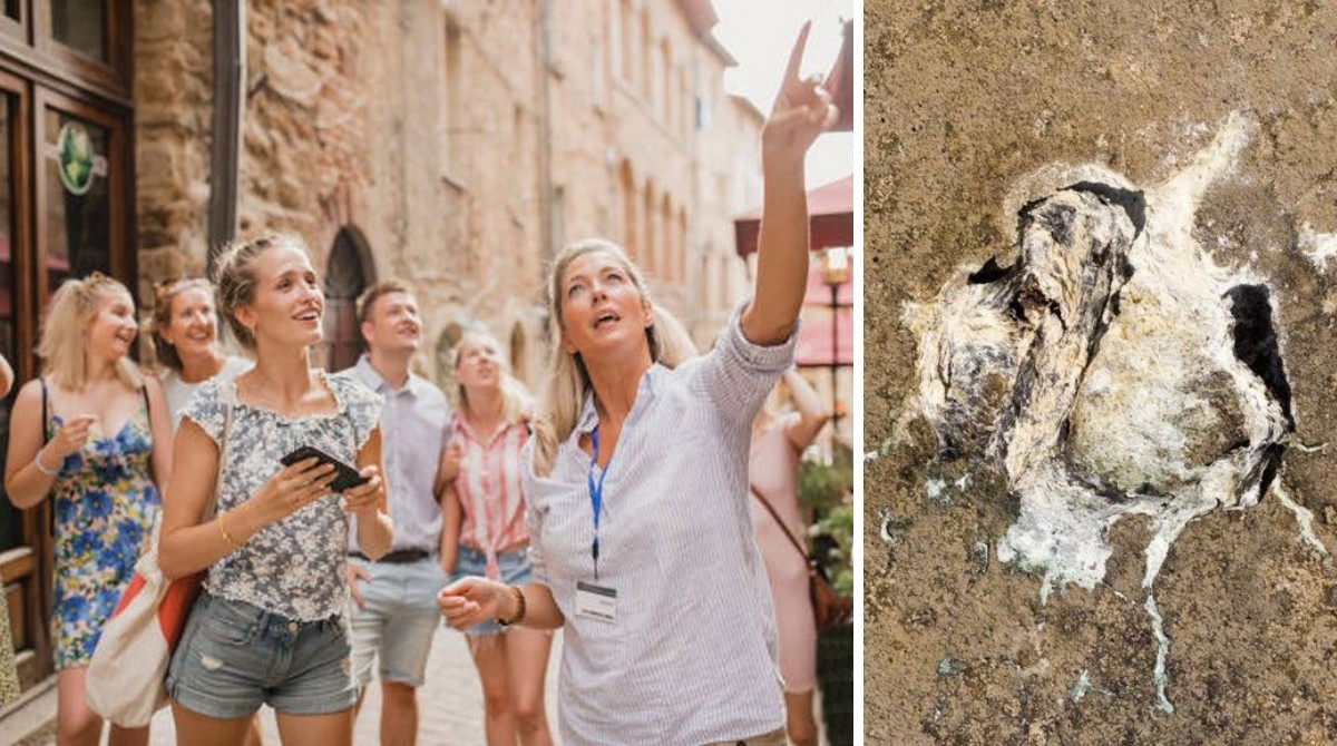 В Іспанії туристів попередили про шахрайство з пташиним послідом