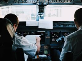 У ПАР літак здійснив аварійну посадку через кобри в кабіні пілотів