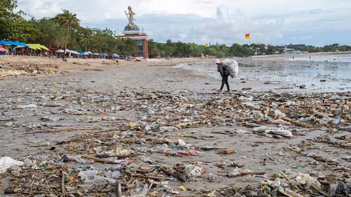 Пляшки, пакети та трактори: Туристи втопили черговий популярний пляж у смітті