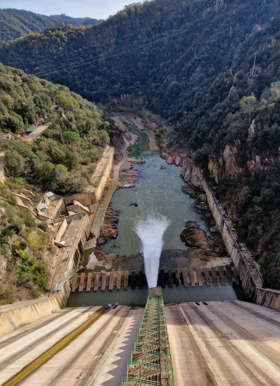 Каталонія переживає найсильнішу посуху в історії
